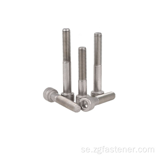 SUS316 SOCKET SCREW